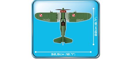 Chasseur polonais PZL P.11C